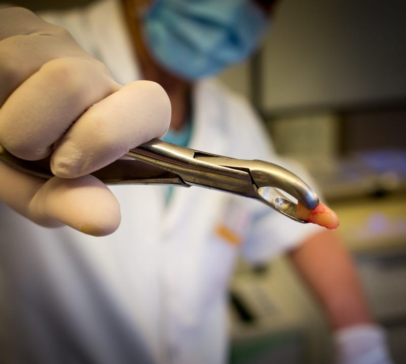 dental treatment Poland